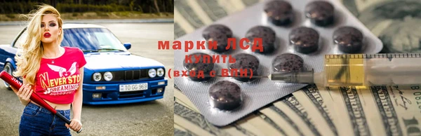 трава Аркадак
