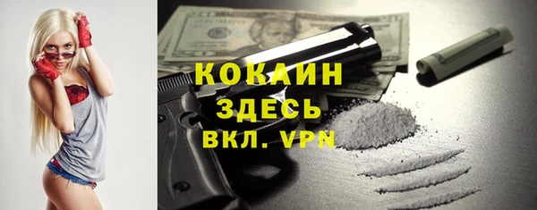 крисы Арсеньев