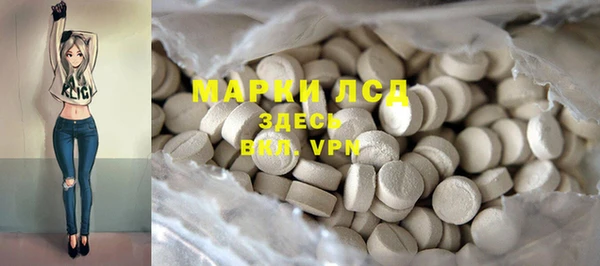 трава Аркадак