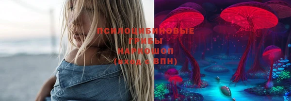 шишки Балахна