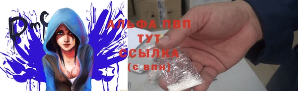 трава Аркадак