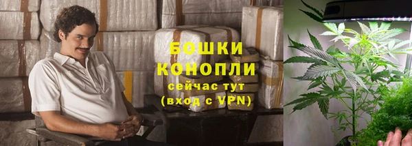 шишки Балахна