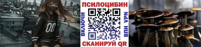 Псилоцибиновые грибы MAGIC MUSHROOMS  нарко площадка официальный сайт  Нефтекумск 
