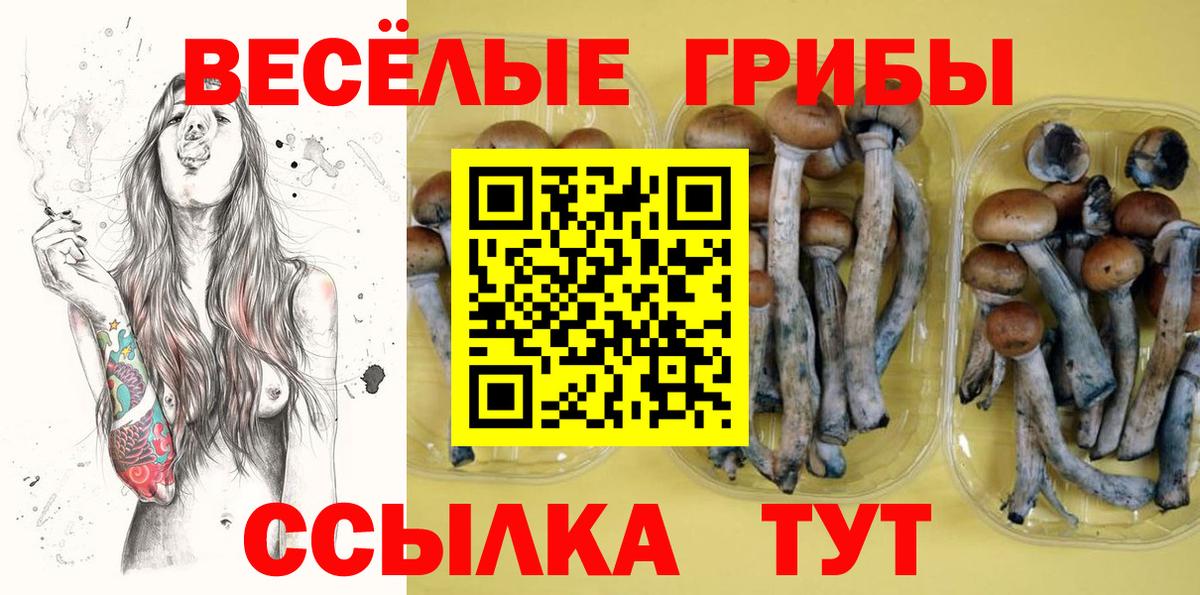 Нефтекумск  Псилоцибиновые грибы Psilocybe  купить наркотики цена  Вход с VPN 
