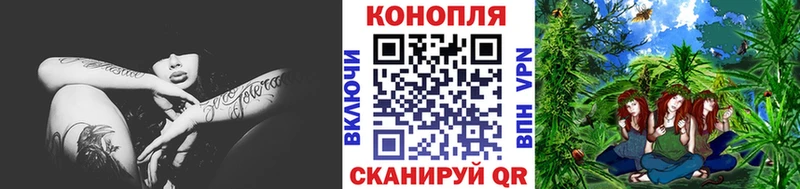 Канабис семена хочу наркоту KRAKEN как зайти Нефтекумск